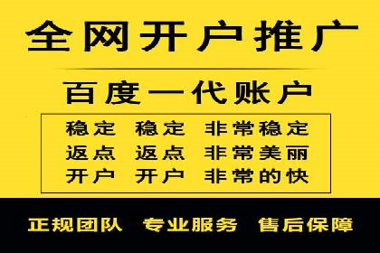 SEM托管代运营案例：打造高效营销体系