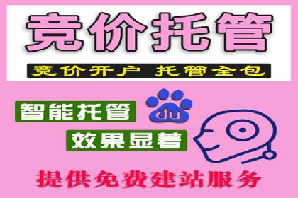 行业精英的SEM竞价经验与案例分享